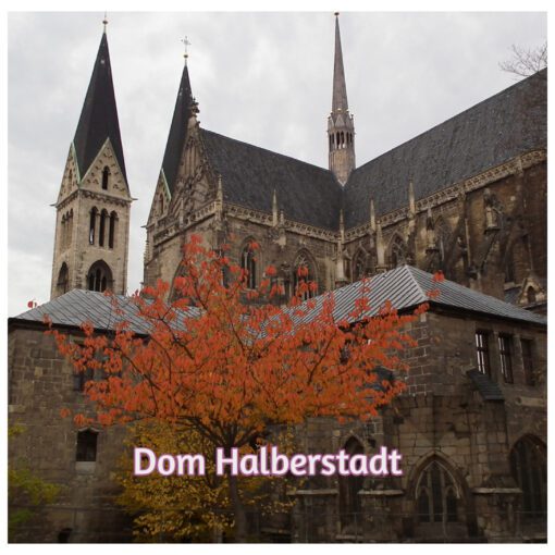 salzstadtclan und drei staedte dom